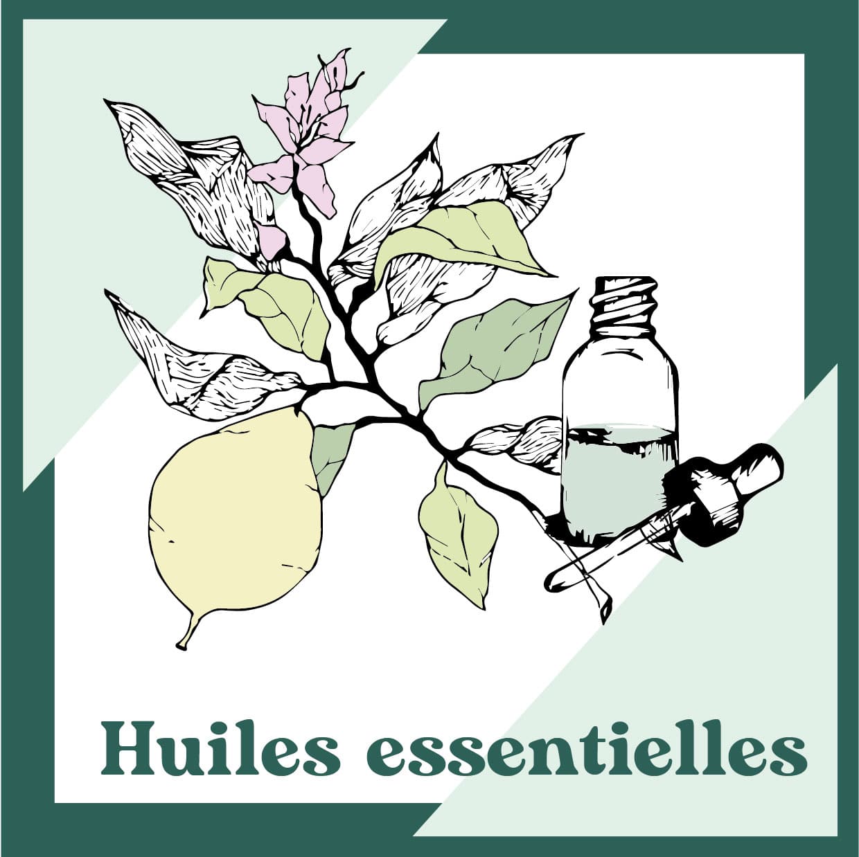 Formation naturopathie Cergy Pontoise Loiret Sologne: stage huiles essentielles