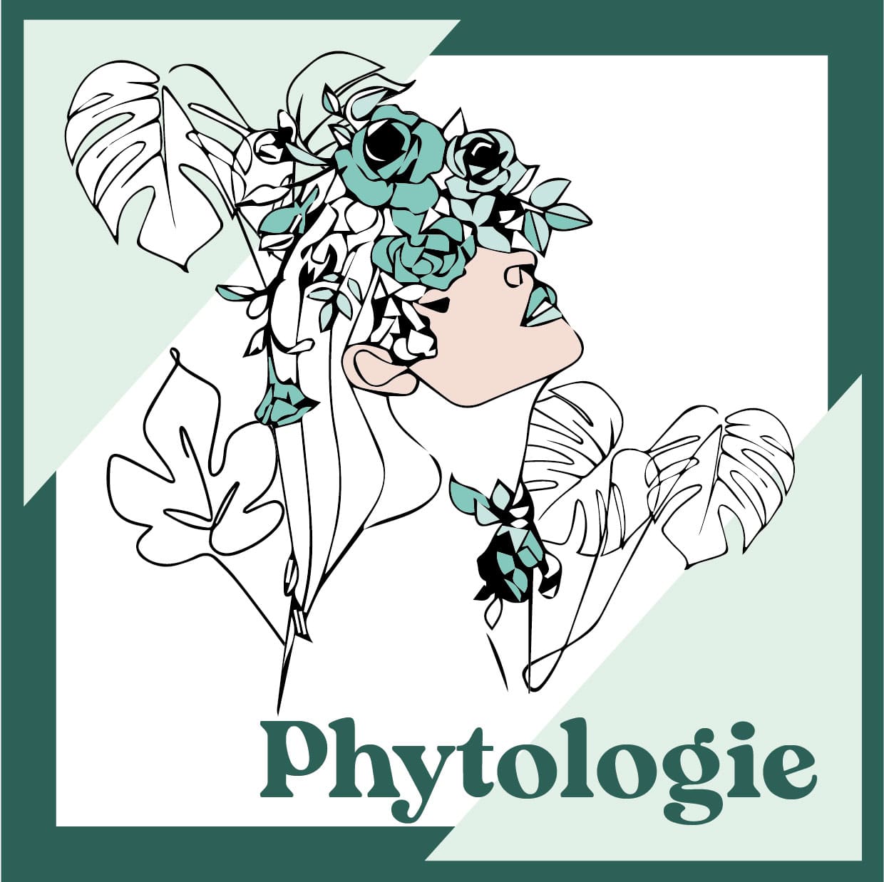 Formation naturopathie Cergy Pontoise Loiret Sologne: stage phytologie