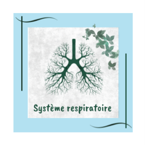 système respiratoire