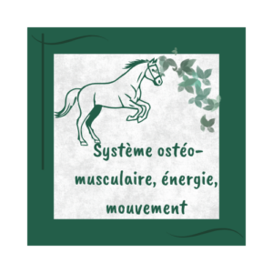 Système ostéo-musculaire naturopathie animale
