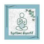 système digestif formation naturopathie