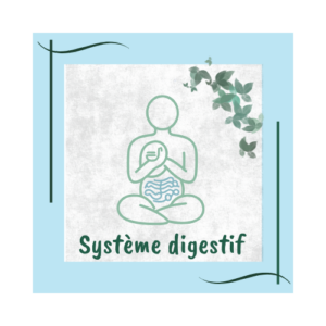 Module 10 - Système digestif