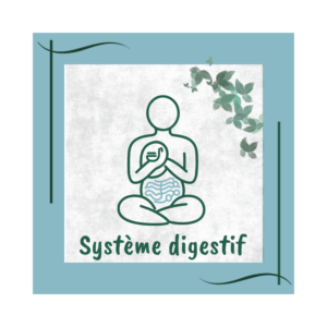 système digestif formation naturopathie