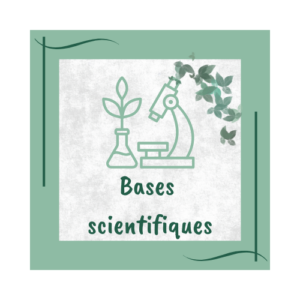 Bases scientifiques pour le réflexologue