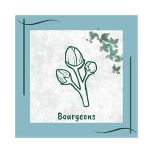 bourgeons formation naturopathie