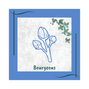 bourgeons naturopathie familiale