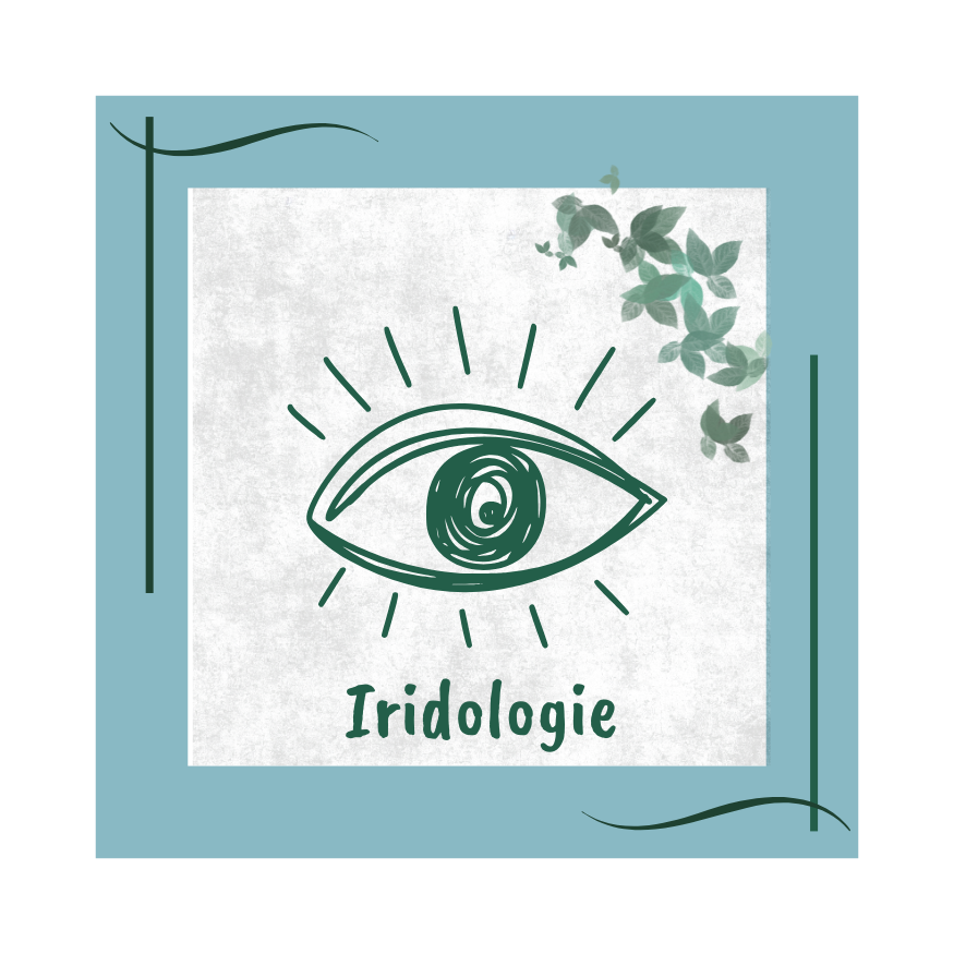 iridologie naturopathie formation