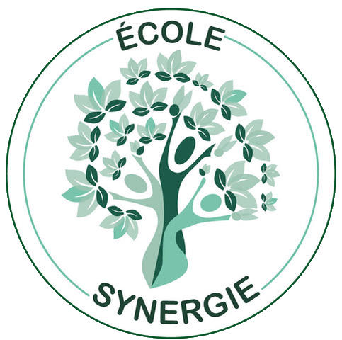 école synergie