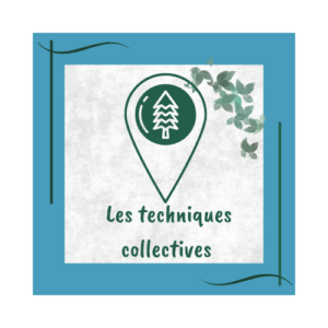 Techniques collectives relaxologue