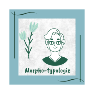 visage morpho-typologie naturopathie