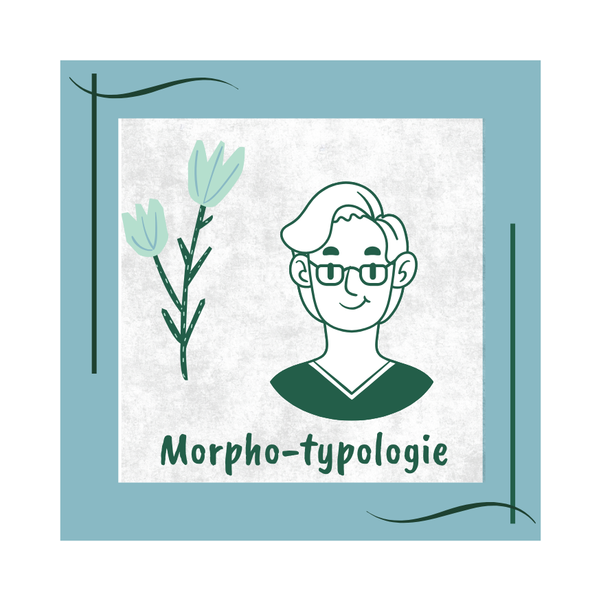 visage morpho-typologie naturopathie