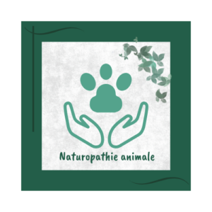naturopathie animale