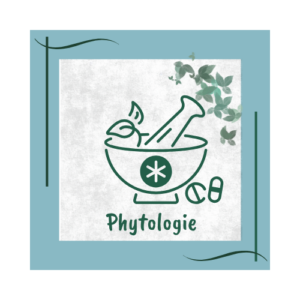 phytologie plantes naturopathie formation