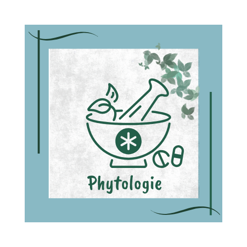 phytologie plantes naturopathie formation