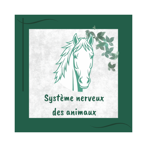 Phytologie pour les animaux