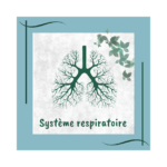 système respiratoire naturopathie