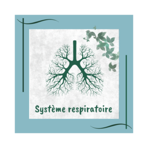 système respiratoire naturopathie